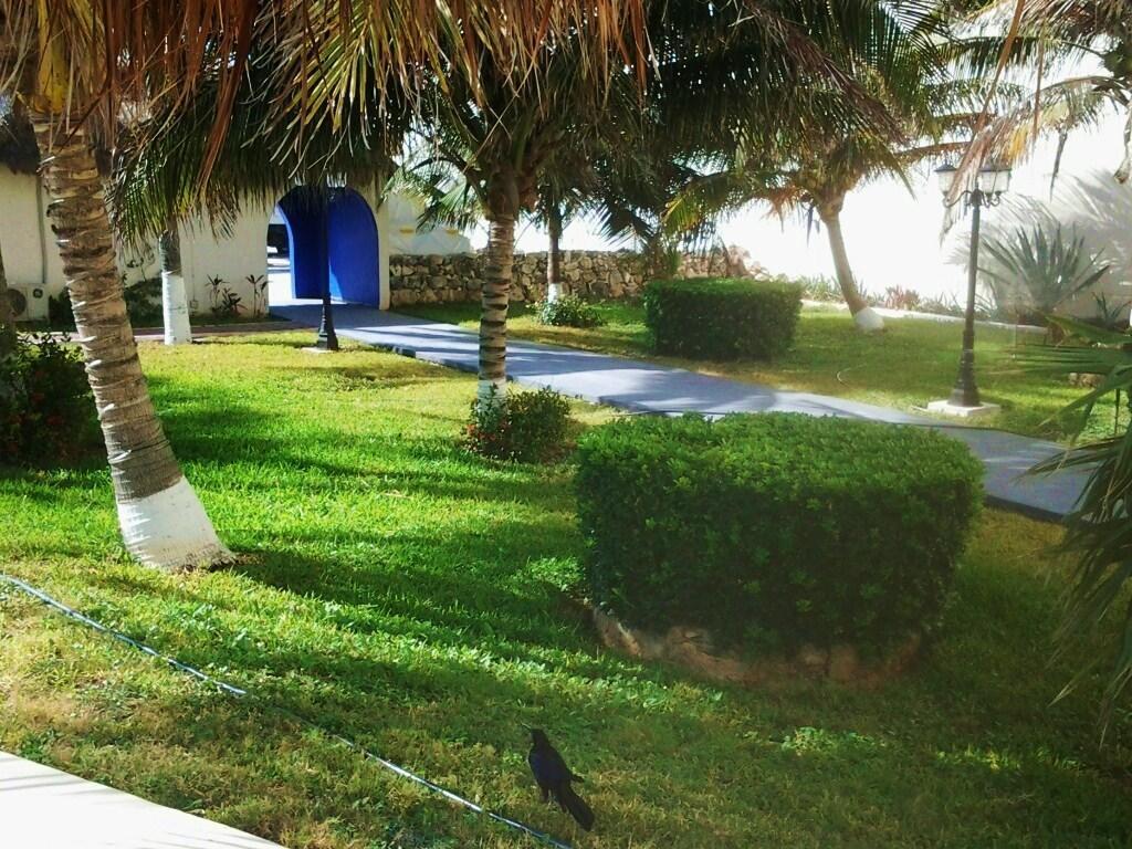 Salvia Condominio Cancun Oda fotoğraf