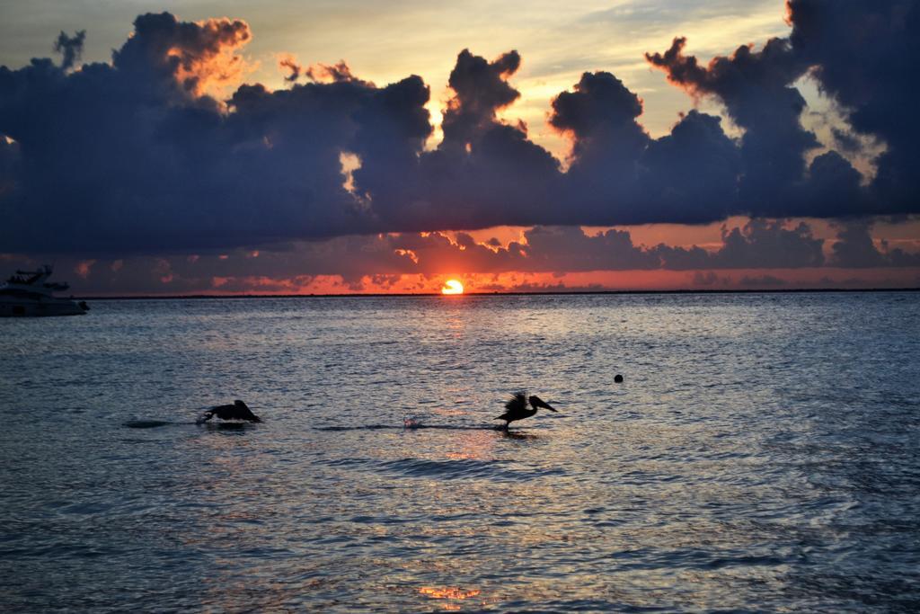 Salvia Condominio Cancun Dış mekan fotoğraf